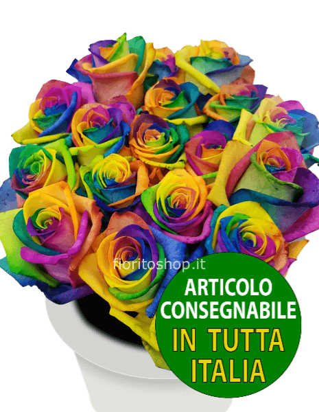 Rose arcobaleno a scelta di numero
