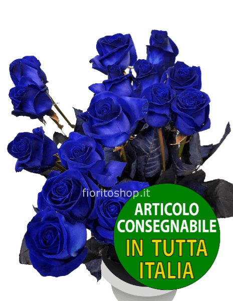 Rose blu 70-80 cm