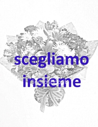 Omaggio da concordare al telefono allo 017166650