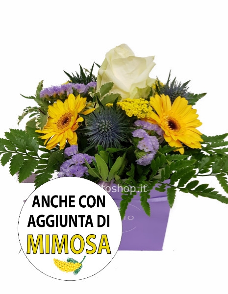 Cubotto giallo/lilla