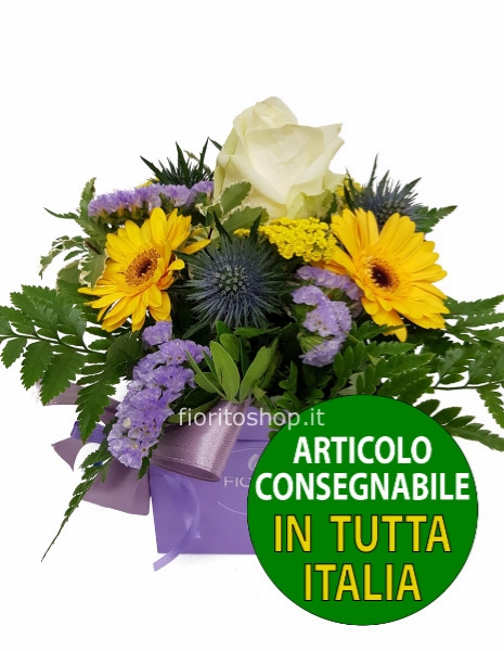 Cubotto giallo/lilla