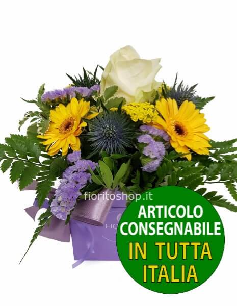 Cubotto giallo/lilla