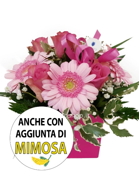 Cubotto rosa