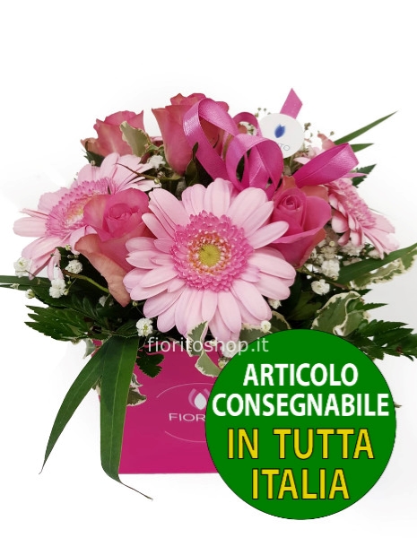 Cubotto rosa