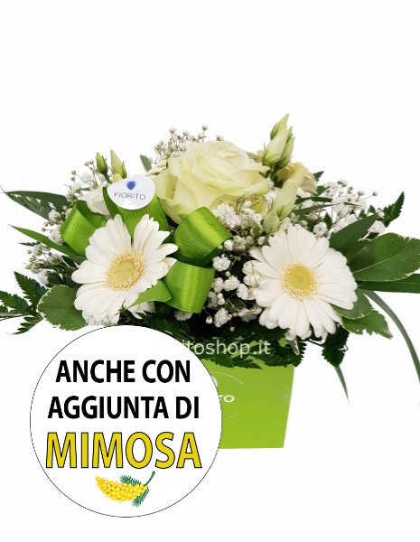 Cubotto bianco/verde