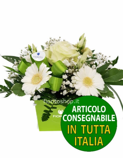 Cubotto bianco/verde