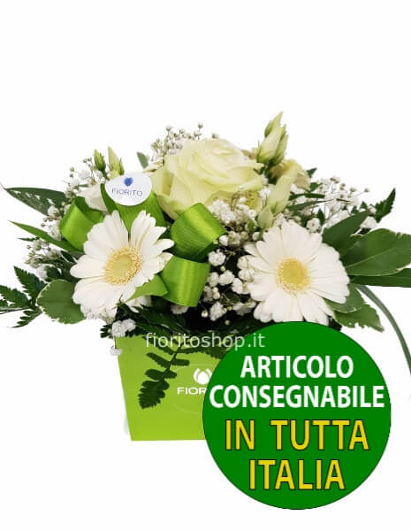 Cubotto bianco/verde