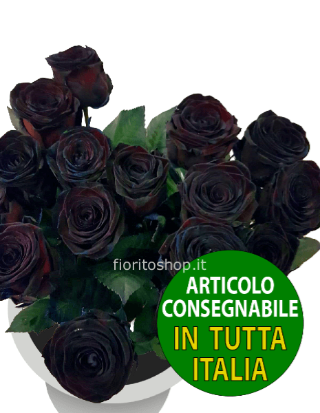 Rose nere 70-80 cm