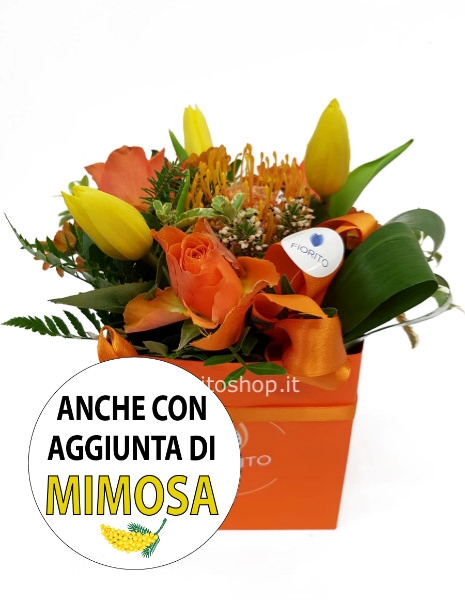 Cubotto colori caldi