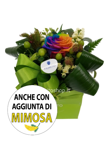 Cubotto con rosa arcobaleno