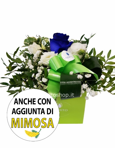 Cubotto con rosa blu