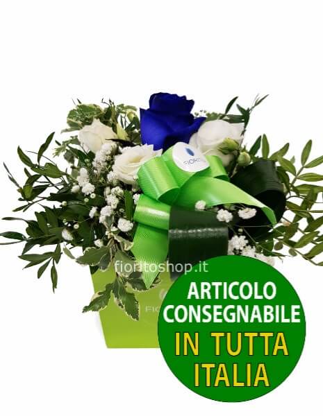 Cubotto con rosa blu