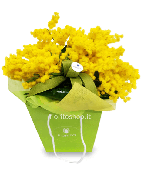 Boule grande di mimosa