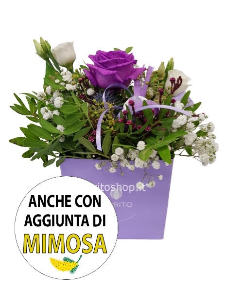 Cubotto con rosa viola