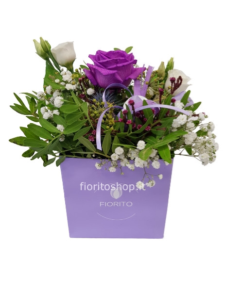 Cubotto con rosa viola