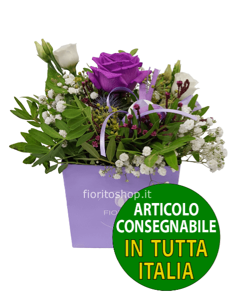 Cubotto con rosa viola