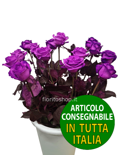 Rose viola a scelta di numero