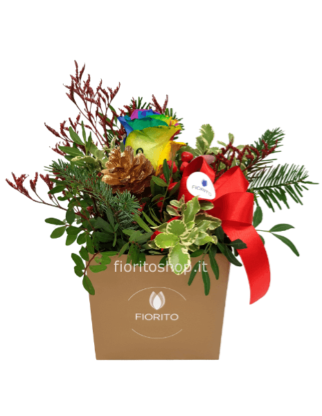 Cubotto Arcobaleno di Auguri