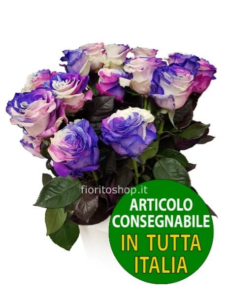 Rose arcobaleno "Galaxy" a scelta di numero