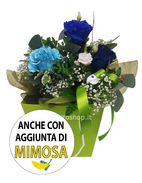 Boule grande con i 3 BLU