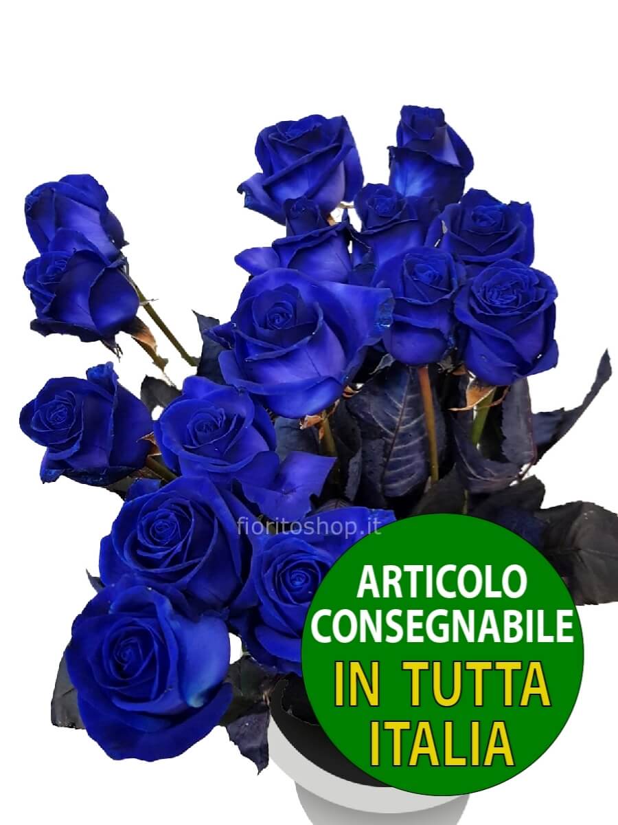 Rose blu a scelta di numero » Invio, spedizione e consegna fiori e piante  online a domicilio a Cuneo.