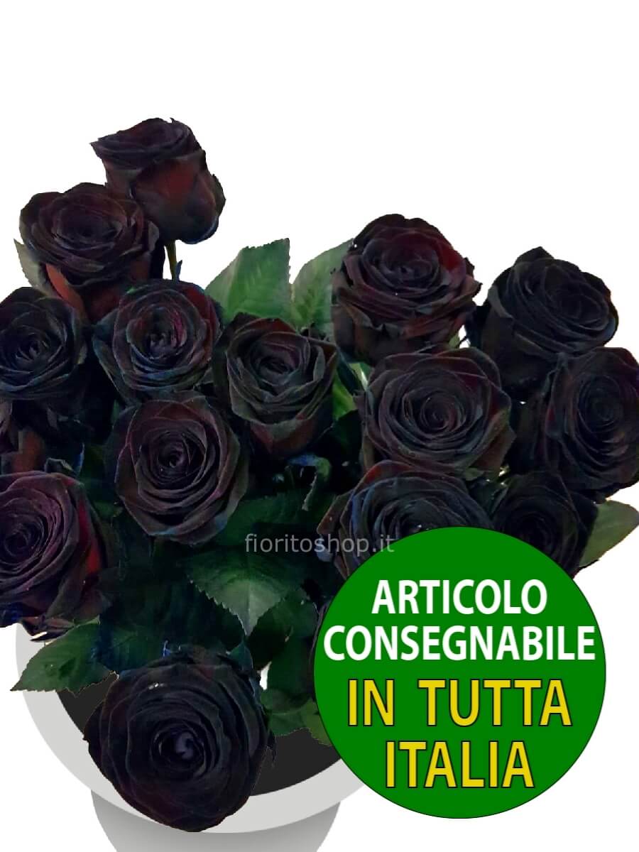 Rose nere a scelta di numero » Invio, spedizione e consegna fiori e piante  online a domicilio a Cuneo.